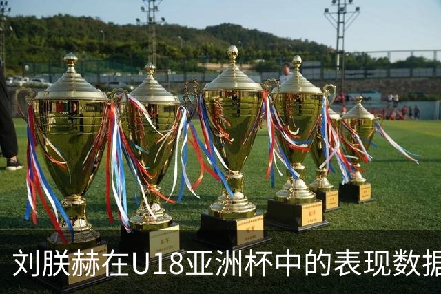 刘朕赫在U18亚洲杯中的表现数据一览