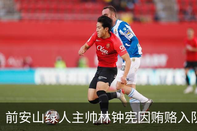 前安山绿人主帅林钟宪因贿赂入队球员维持实刑判决