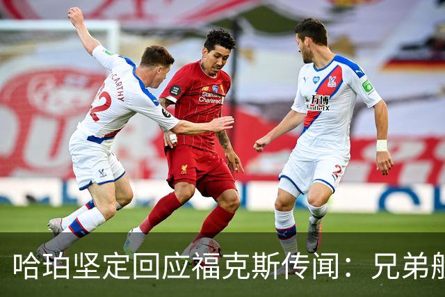 哈珀坚定回应福克斯传闻：兄弟般的信任与支持
