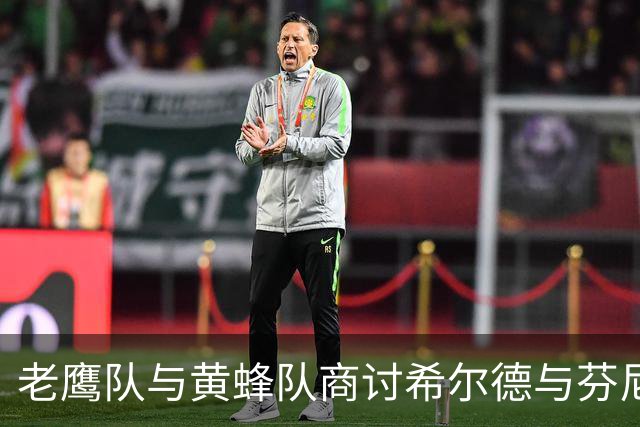 老鹰队与黄蜂队商讨希尔德与芬尼-史密斯的潜在交易